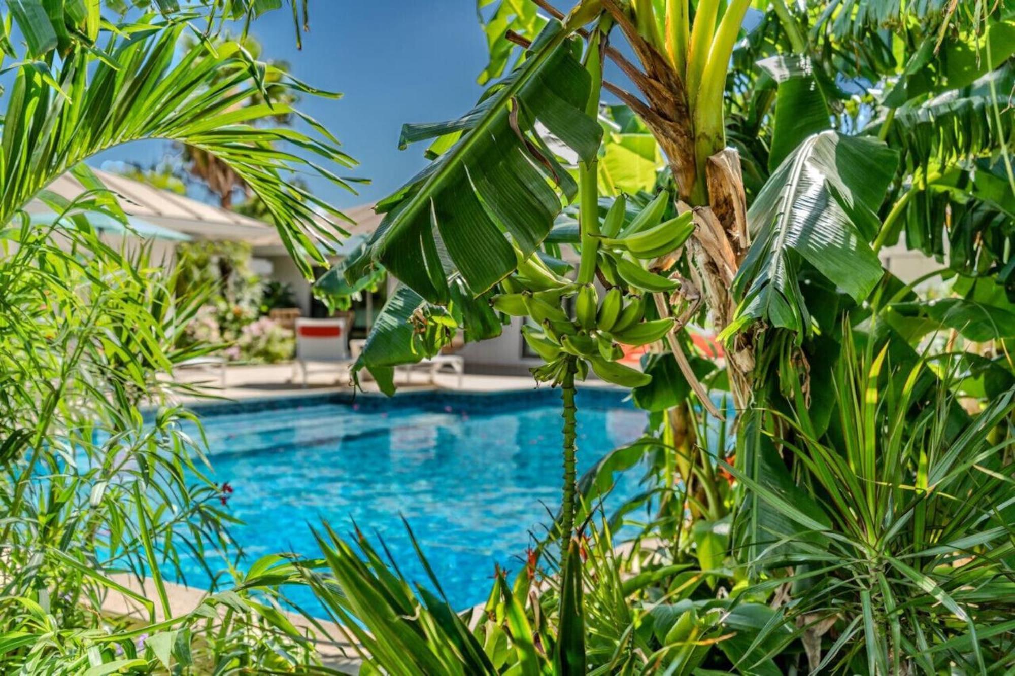 Royal Villa With A Huge Swimming Pool Cowell Battery 外观 照片