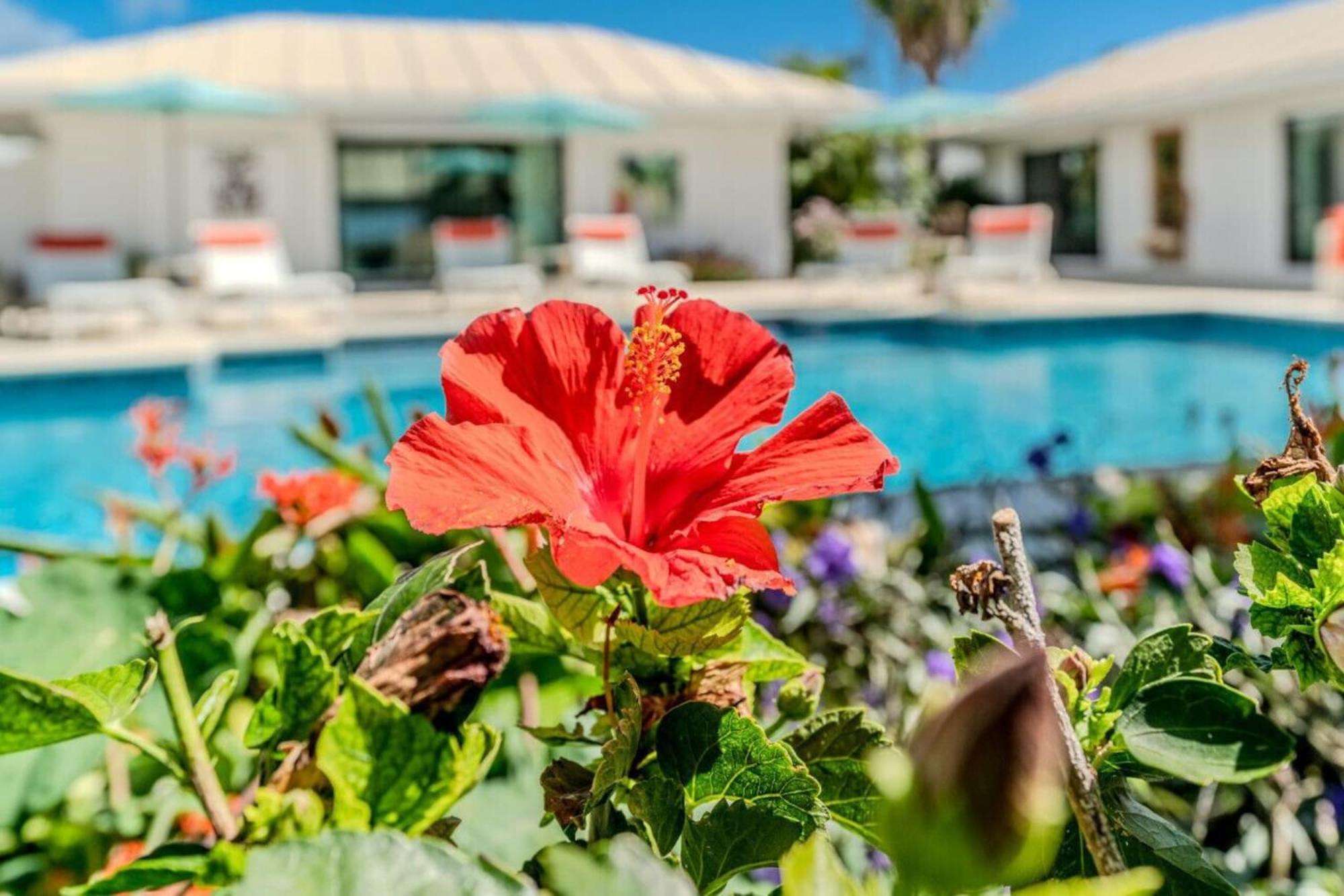 Royal Villa With A Huge Swimming Pool Cowell Battery 外观 照片